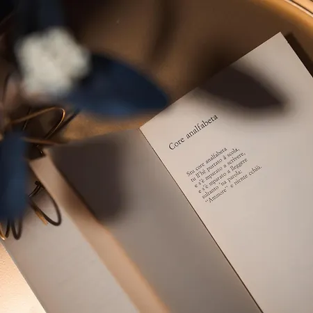 Anami Harbor Retreat 招待所